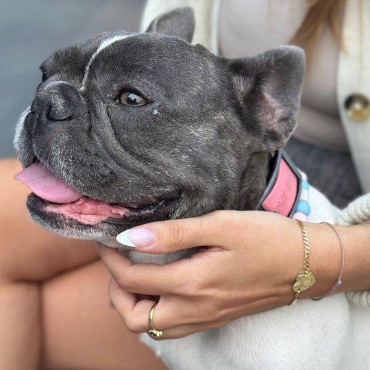 Armband mit Herz an Kette, 925 Silber