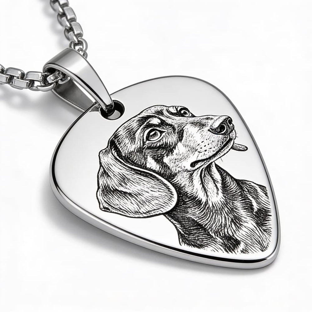 Colier tip pană de chitară cu animal de companie