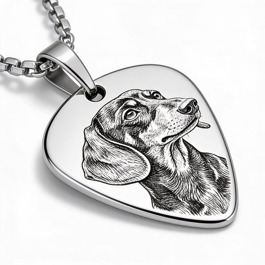 Colier tip pană de chitară cu animal de companie