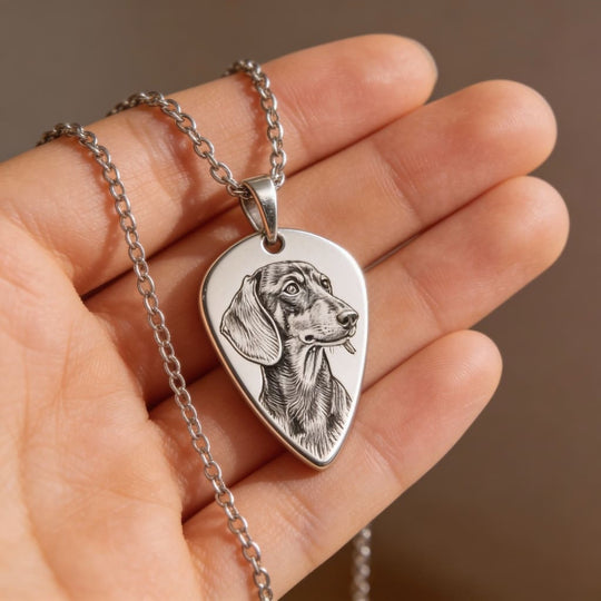 Colier tip pană de chitară cu animal de companie