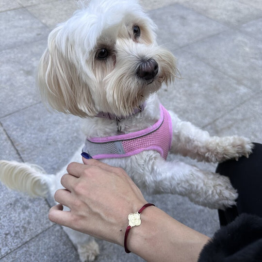 Armband mit Kleeblatt-Charm, 925 Silber